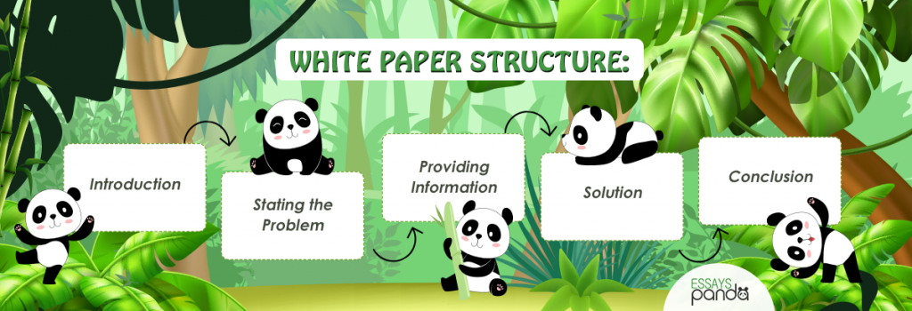 White Paper Structure