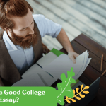 College Application Essay Writing