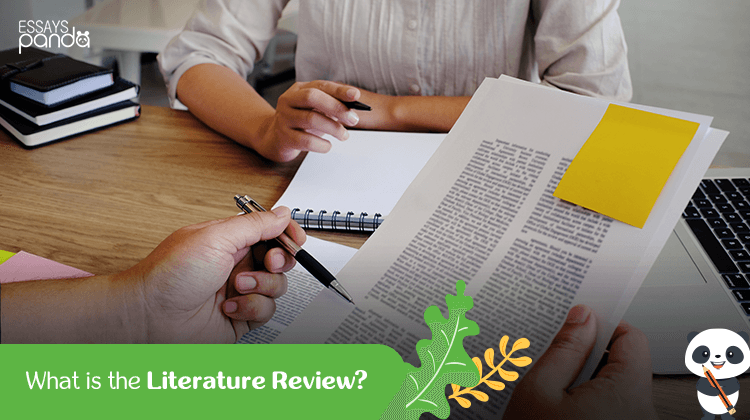What is a Literature Review